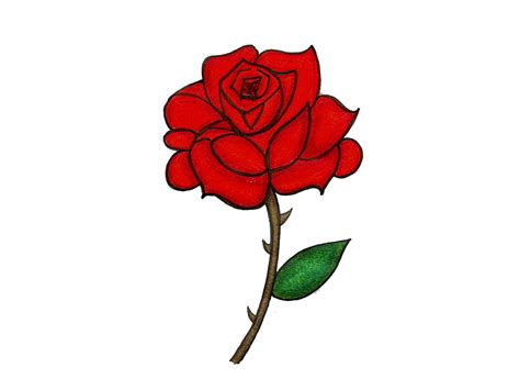 cartoon red rose clipart