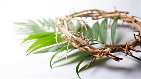 when is palm sunday 2018 metro news