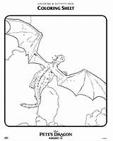 Dragon Pete sketch template