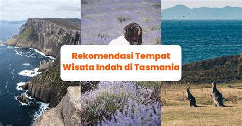 tempat indah  tasmania  bisa dikunjungi  road trip