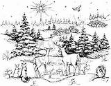 Mounted Rubber Wood Northwoods Blessed Stamps Night Coloring Pages Christmas sketch template