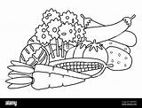 Légumes Coloriage Alamy Legumes Alamyimages sketch template