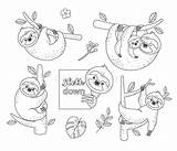 Sloth Coloring Pages Outline Branch Illustration Sloths Cute Sitting Set Doodle Isolated Vector Dreamstime Illustrations Vectors Stock sketch template