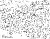 Gogh Irises Vincent Girasoli Quadri Famosi Picasso Printablecolouringpages sketch template