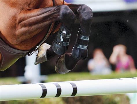 irish show jumping team named  nations cup  poland