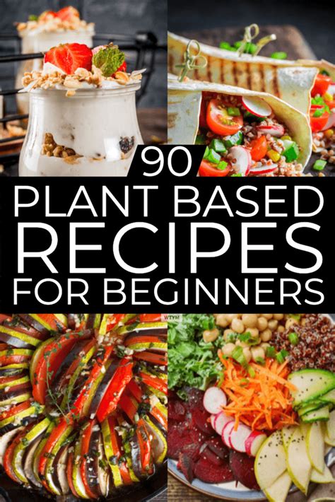 plant based diet meal plan  beginners  plant based