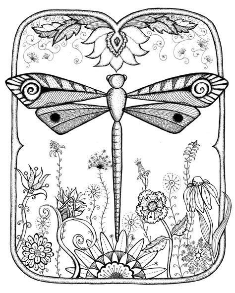 printable coloring pages dragonfly coloring pages