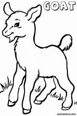 Goat Coloring Pages Cute Baby Drawing Color Printable Clipart Draw Getcolorings Getdrawings Clipartmag sketch template
