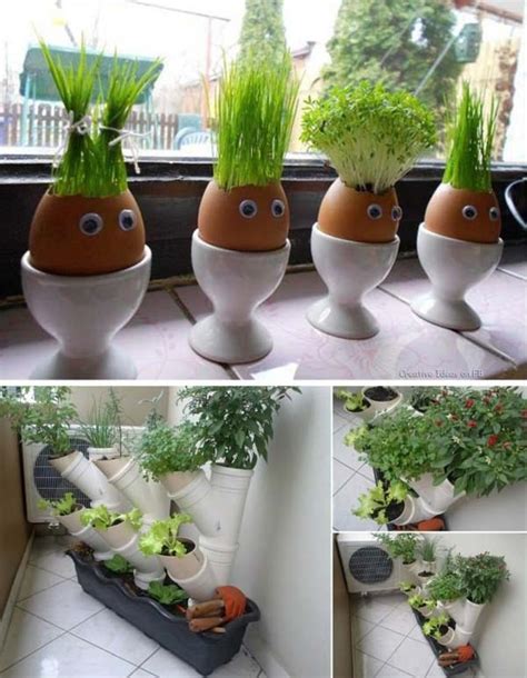 mini indoor garden ideas  green  home amazing