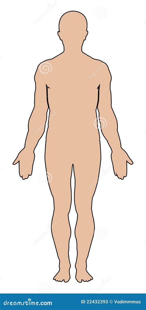 human body outline stock vector illustration  male