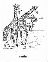 Coloring Planet Amazon Animals Rainforest Pages Earth Book Awesome Drawing Getdrawings Giraffes Jungle Archive sketch template