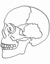 Coloring Skull Pages Crossbones Getcolorings Bones sketch template