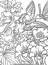 Coloriage Fleur Imprimer Coloriages Dessin Tahiti Automne Rubrique Colorier Plante sketch template