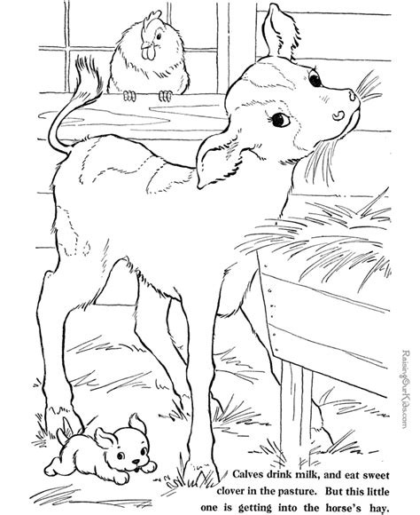 farm animal coloring pages   farm animal coloring