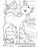 Coloring Pages Farm Animal Clipart Animals Library Calf Baby sketch template