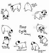Pug Cycle Pugs Poop Humpug Bah Cacca Pooping Pestare Hugs Poo Fortuna Getcolorings Transformed Doggie Licious sketch template