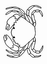 Crabs Coloring Print Pages Kids Coloringkids sketch template