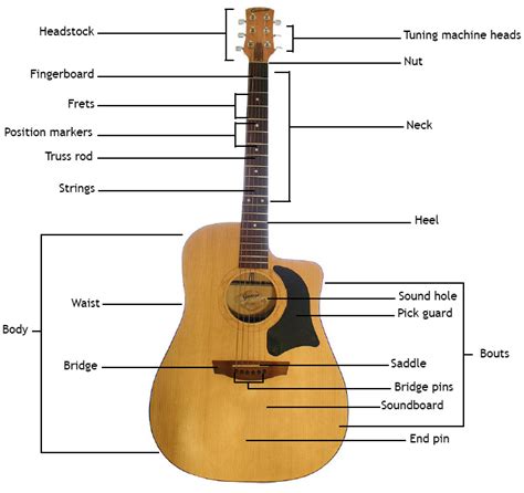 guitar guide  acoustic guitar