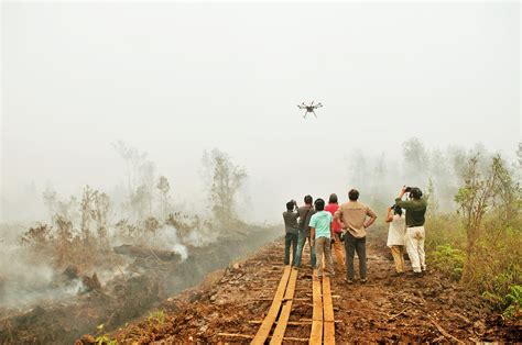 pros contras  potencial del uso de drones  la investigacion forestal cifor forests news