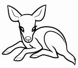 Deer Coloring Baby Pages Printable Kids Drawings Clipart Drawing Cute Easy Animals Draw Color Cartoon Print Animal Sketch Adults Mule sketch template