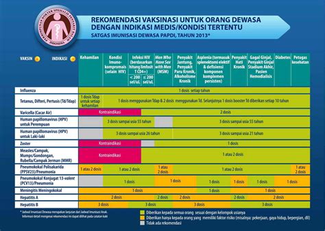 jadwal vaksinasi imunisasi dewasa papdi  klinik raisha