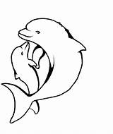 Coloring Pages Dolphin Cartoon Getcolorings sketch template