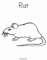 Rat Coloring Porcupine Print Mouse Favorites Login Add Twistynoodle sketch template