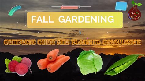 fall gardening  planting calculator youtube