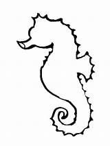 Seahorse Outline Printable Coloring Template Horse Clipart Sea Clip Cliparts Pages Outlines Drawing Stencils Kids Library Templates Choose Board Clipartbest sketch template