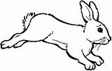 Rabbit Bunny Coloring Hopping Pages Outline Color Kids Bunnies Drawing Cute Printable Clipart Play Clipartbest Getdrawings Getcolorings Print Clipartmag Colorings sketch template