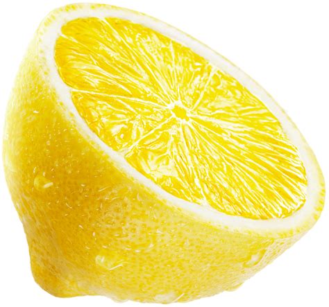 printable lemon images printable word searches