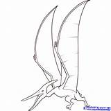 Drawing Pteranodon Draw Flying Step Dinosaurs Coloring Drawings Dinosaur Paintingvalley Library Clipart Dragoart Sketch Collection Popular Choose Board Comments sketch template
