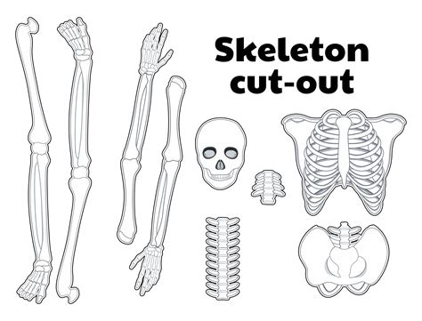 cut  printable skeleton bones template