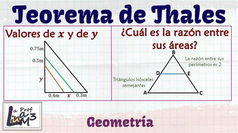 Teorema De Thales La Prof Lina M3 Youtube