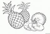 Ananas Abacaxi Frutas Obst Piña Colorkid Imprimer Colorir Dibujo Coloriages sketch template