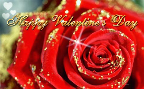 beautiful wallpapers  images valentine day wallpaper  downloads