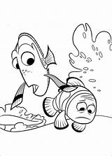 Dory Finding Coloring Pages Marin sketch template