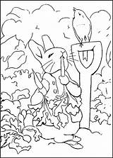 Coloring4 Coloring4free Rabbits Yesmovies Coloring2print sketch template