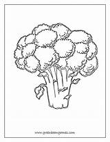 Broccoli Coloring Worksheet Seed Bean Getcolorings Lima Getdrawings Worksheeto sketch template