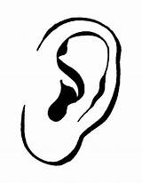 Ear Body Parts Colouring Pages Human Clipart Drawing Clip Coloring Cliparts Template Inside Library Line Sketch Favorites Add sketch template
