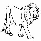 Animals Outline Lion Coloring Kids للتلوين اسد Clip sketch template