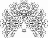 Pages Peacock Coloring Colouring Beautiful Girls Printable Color Related Posts Cute sketch template