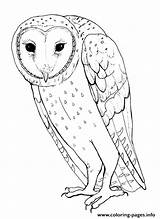 Owl Barn Coloring Pages Printable Color Animals Animal Colouring Sheet Print Kids Town Animalstown Sheets Book Adults Visit sketch template