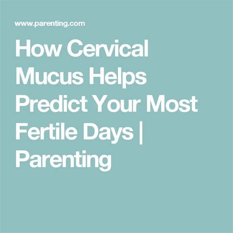 cervical mucus stages what it looks like when you re