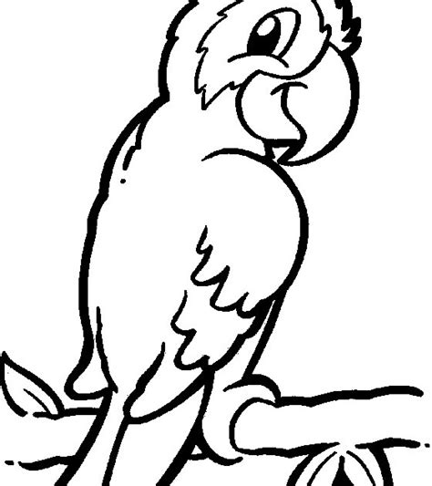 printable jungle bird parrot coloring pages coloring pages