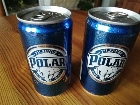 polar bier aus curacao urlaub auf curacao
