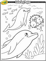 Coloring Dolphin Pages Dolphins Crayola Ocean Printable Kids Sheets Animal Print Summer Sea Fish Colouring Color Book Books Whales Adult sketch template
