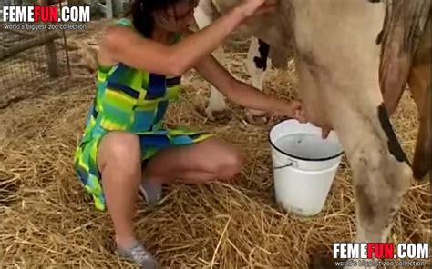Wild Tattooed Bitch Milks A Cow And Rubs Her Pussy Against