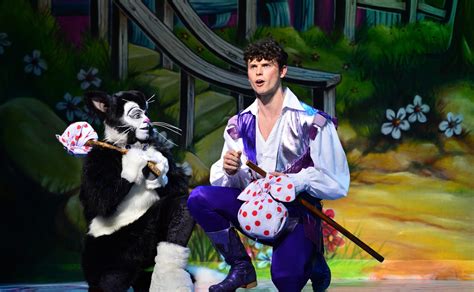 dick whittington shows stage faves