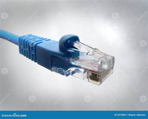 network cable  royalty  stock  image